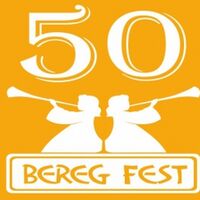 BEREG FEST фестиваль