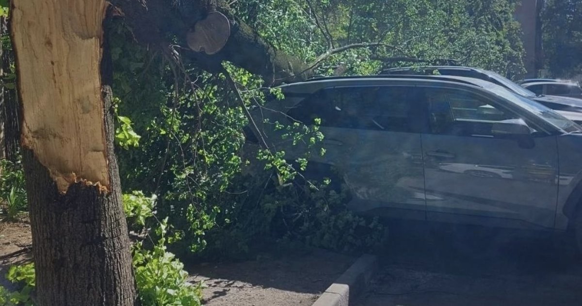 Смертельні наслідки негоди: на Закарпатті загинув чоловік
