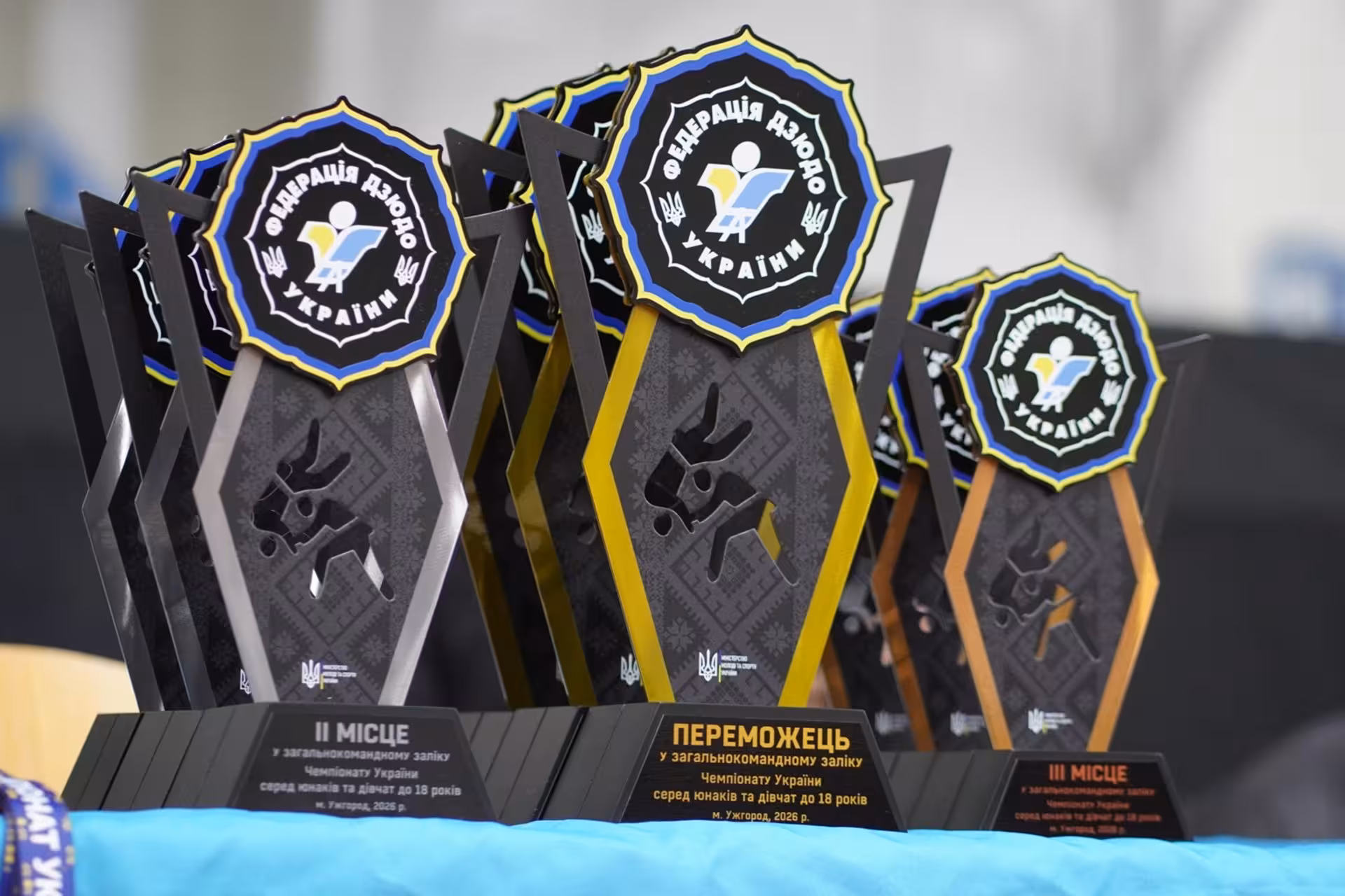 В Ужгороді триває відбір до збірної України з дзюдо на Євро-2026 (ФОТО)