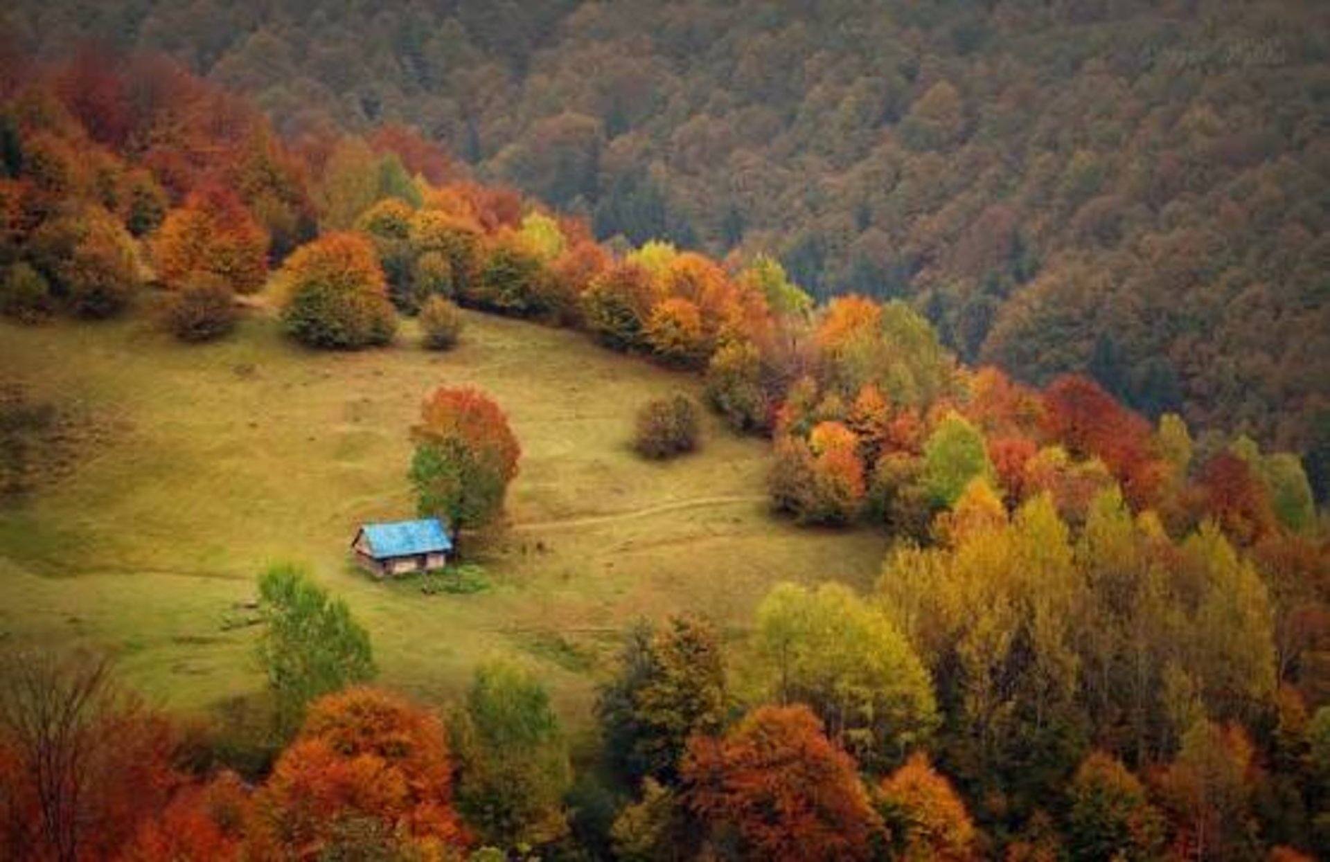 На Закарпатті прогнозують туман і дощ на вихідних