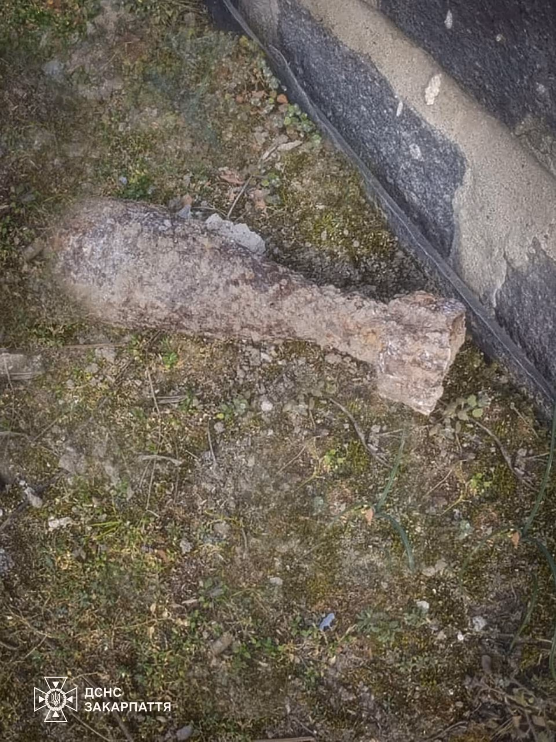 На Ужгородщині чоловік на власному подвірʼї знайшов міну часів Другої світової (ФОТО)