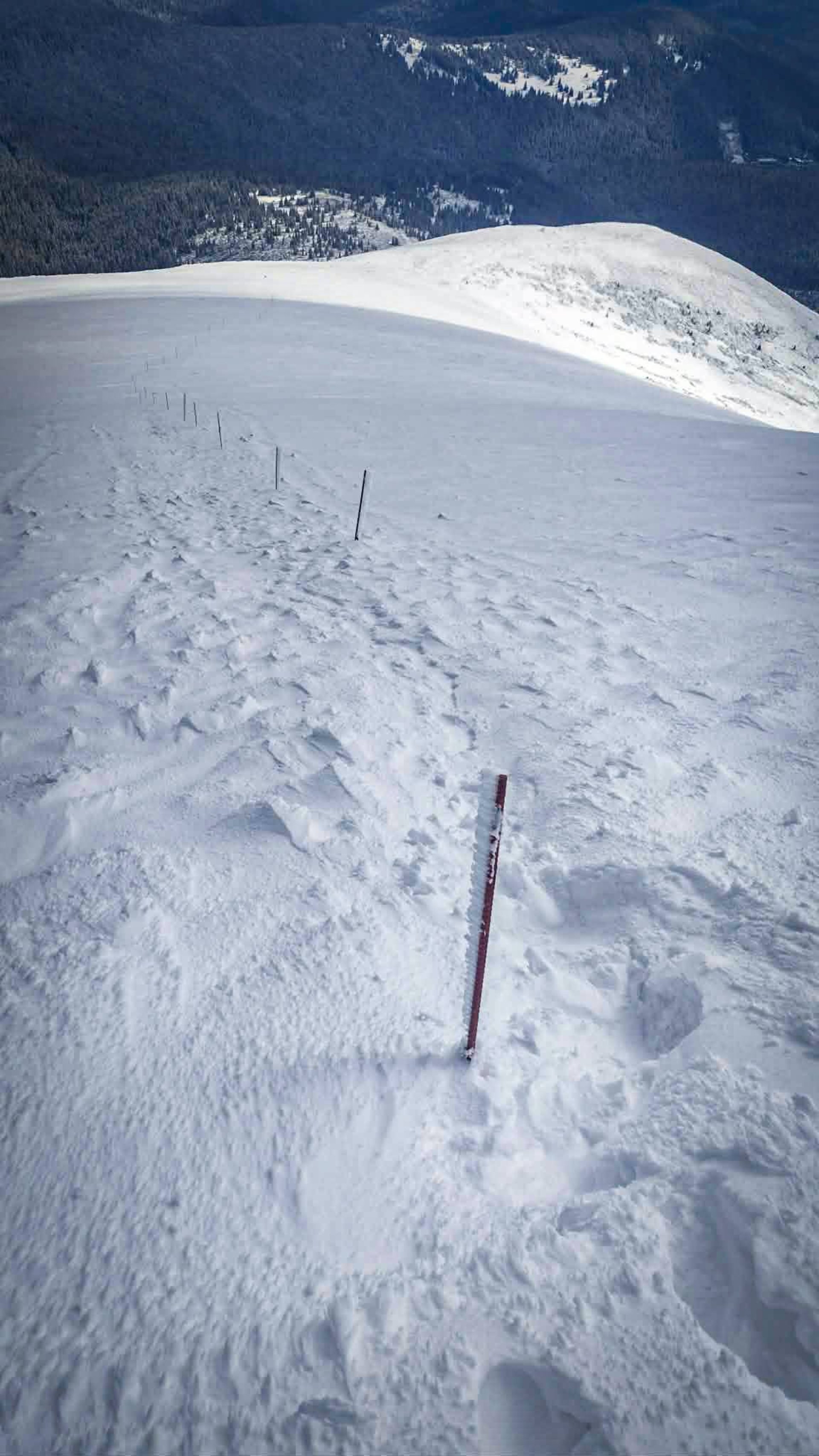 Сніг триматиметься до червня: туристів застерігають від підйому на Говерлу