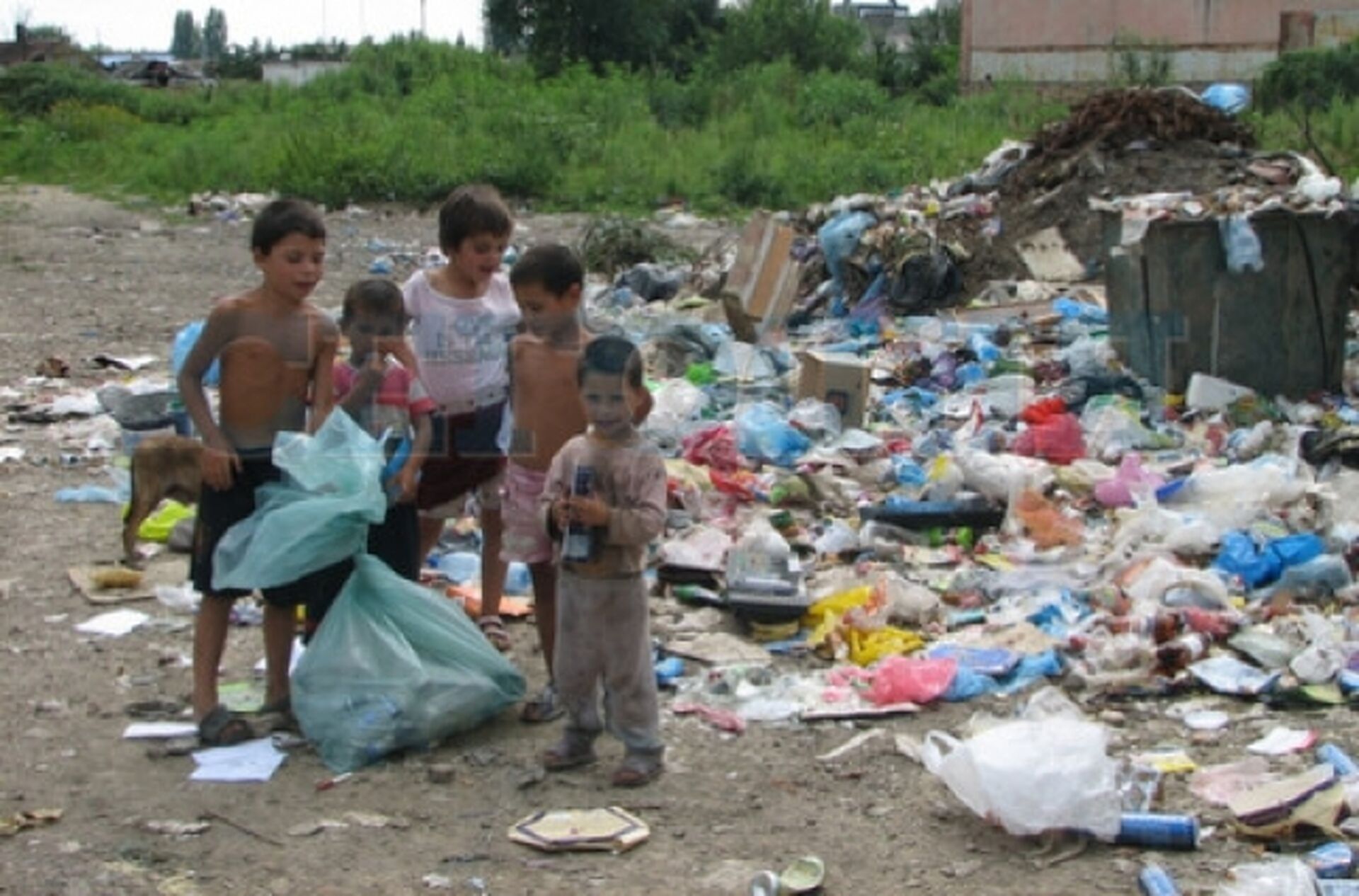 Ромы пугают своих детей белыми | Mukachevo.net