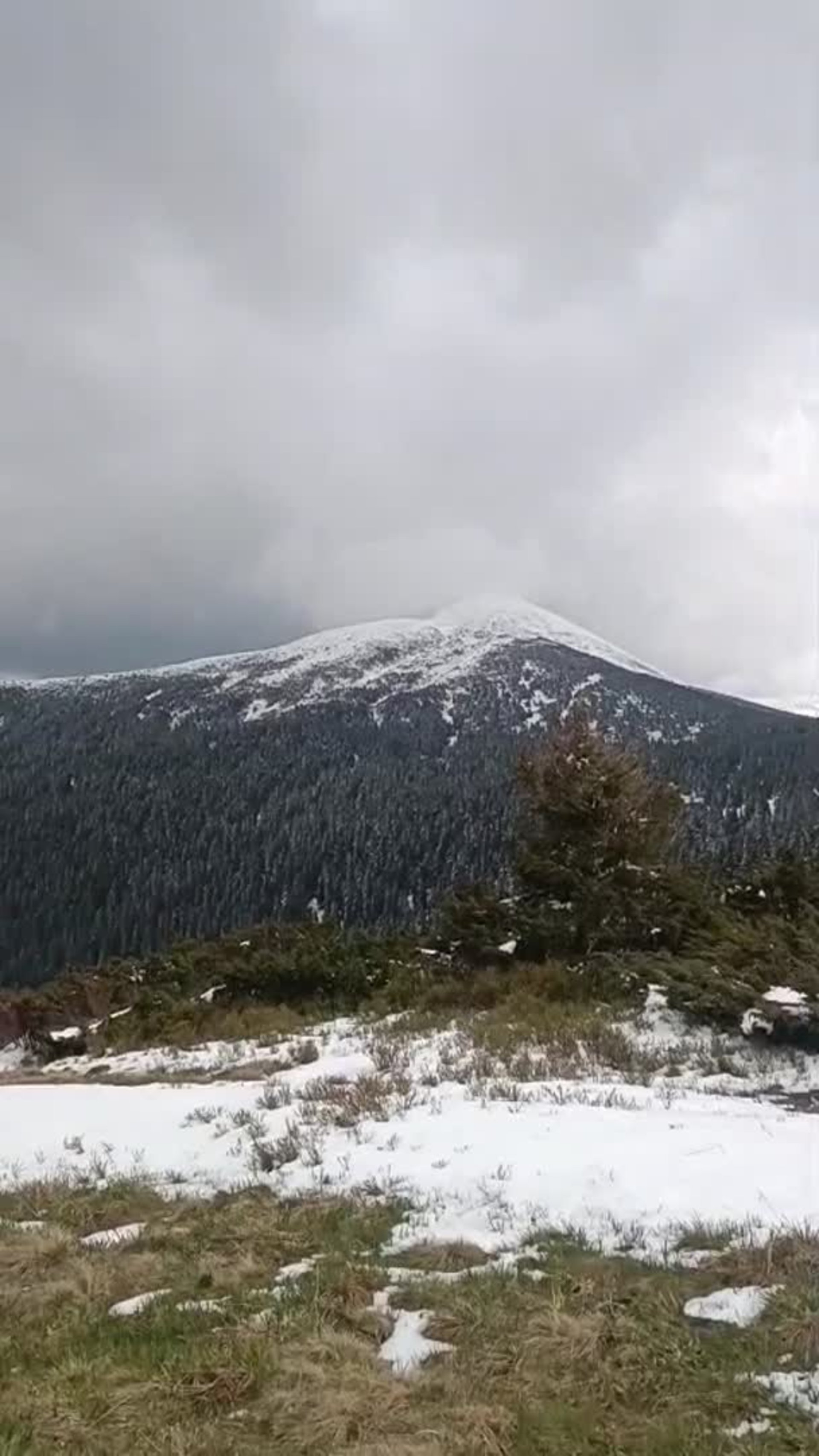 Відео: Державна прикордонна служба