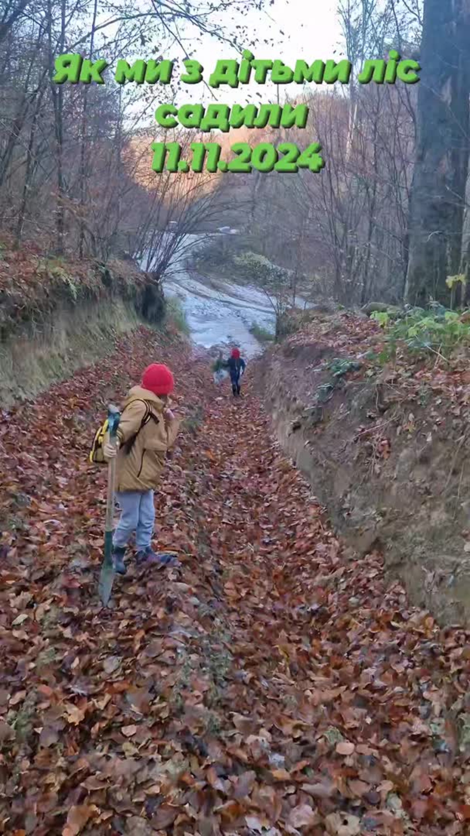 Відео: Аліса Смирна